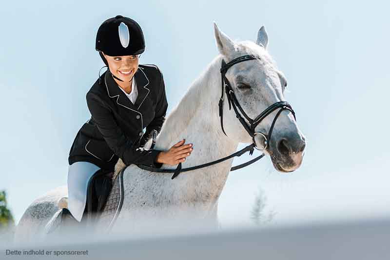 Find det perfekte moderne ridetøj hos Envy Equestrian Find det perfekte moderne ridetøj hos Envy Equestrian